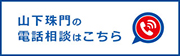 山下珠門の電話相談はこちら